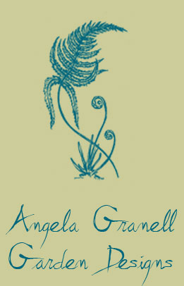 Click to enter website